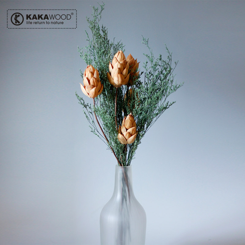 kakawood�׻�ľ�ʻ�/��Ȼֲ��ɻ�