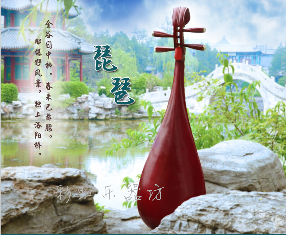 Plucked instrument pipa high-grade hardwood bone flower adult pipa mahogany shaft phase alone back pipa gift package nails