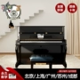 Đức Plutina UP121 piano thẳng đứng người lớn mới bắt đầu chơi chuyên nghiệp thương hiệu piano yamaha clp 735