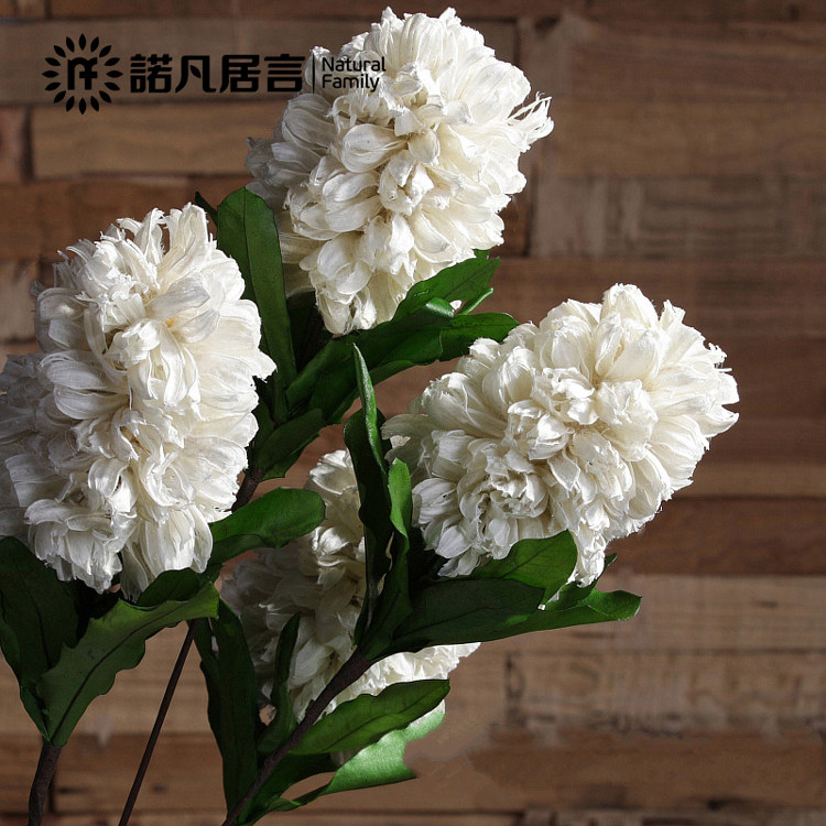 ŵ������������ڼٻ��������