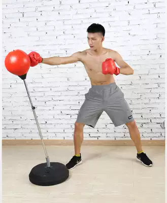 Jianna professional boxing vertical speed ball serve ball ball home tumbler training reaction ability