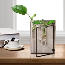 Creative retro wrought wrought iron vase hydroponic plant transparent glass bottle desktop flower arrangement flower arrangement home decoration ornaments