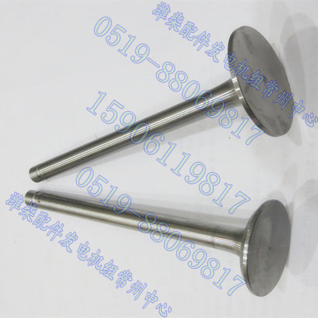 Weifang Diesel Engine Accessories 495 intake door K4100D exhaust door K4102D WeiChai generator set accessories