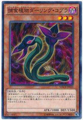 Yuan Feigaming King Genuine N Prey plant Snake Bottle Grass Cobra 912 Japanese Meying