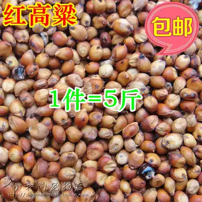 5 Jin red sorghum raising pigeon grain pigeon food parrot Xuanfeng monk bird food bird food hamster food