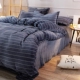Phim hoạt hình giường nhung san hô gồm bốn tấm flannel mùa đông dày chăn ga khách sạn Bộ đồ giường bốn mảnh