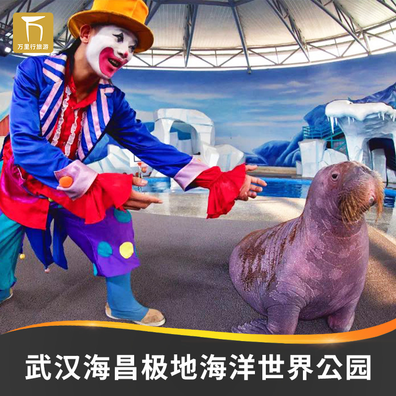 Wuhan Haichang Polar Ocean Park - Big Ticket (Ticket Is Available)] Wuhan Haichang Polar Ocean World Ticket