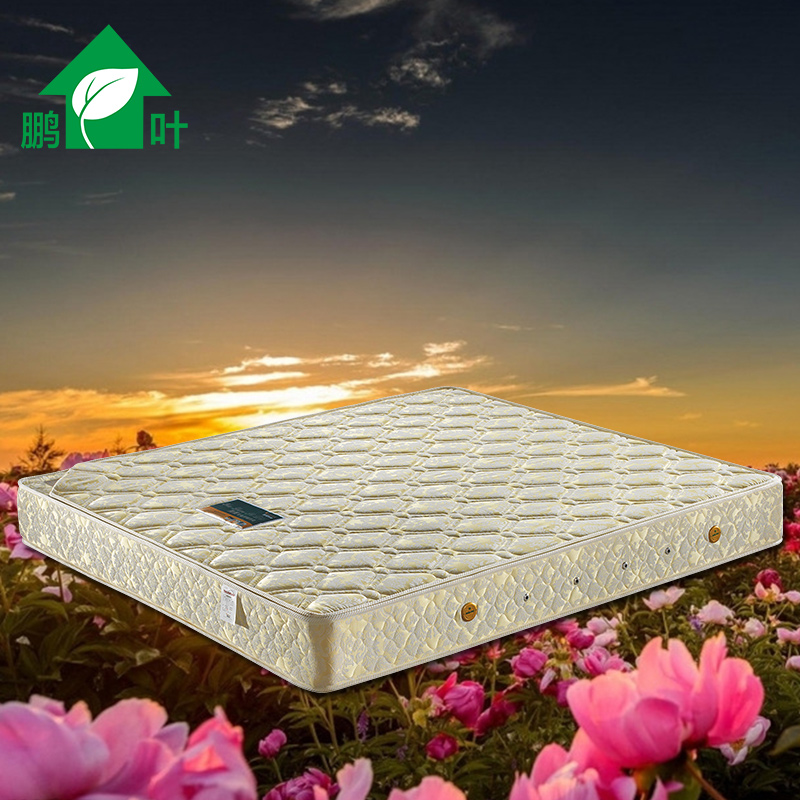 ��Ҷϯ��˼����HAM-2019