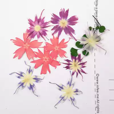Xinghua Fluke epoxy dried flower mobile phone protective shell pressed flower embossed plant specimen flower thing is over