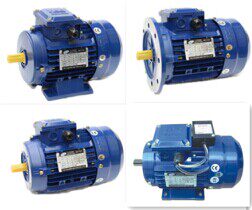 TCG TCG TC TC YS8022 1 1KW 2800 rotation 3-phase 380V220V