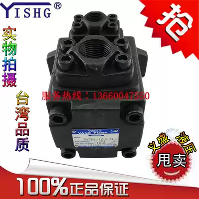YISHG YISHENG Yihe PV2R1-6 8 10 12 14 17 19 23 25 28 31-F-R oil pump