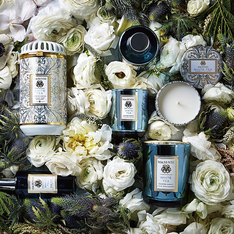 TAYOHYA��޹����MS050502003ZZ