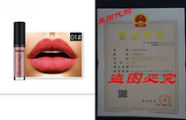 Tenworld 1 PC Waterproof Matte Liquid Lipstick Long Lasting