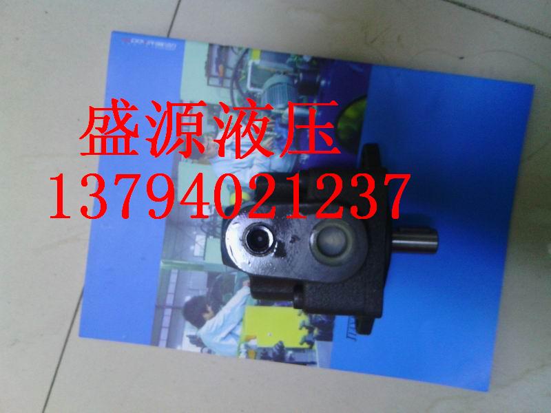 Quantitative vane pump DS-11p DS-12p DS-13p DS-14p