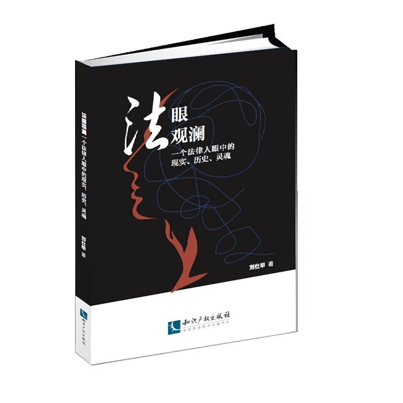法眼观澜 一个法律人眼中的现实 历史 灵魂