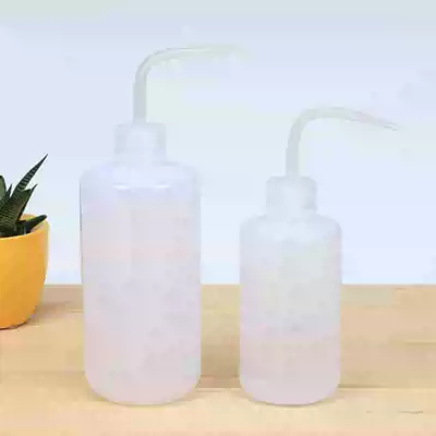 Large fleshy watering kettle Moss fleshy micro landscape tool