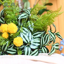 Looking for point simulation eyebrow leaf flower art green plant leaf flower arrangement flower material with leaf desktop decorative plant placement set