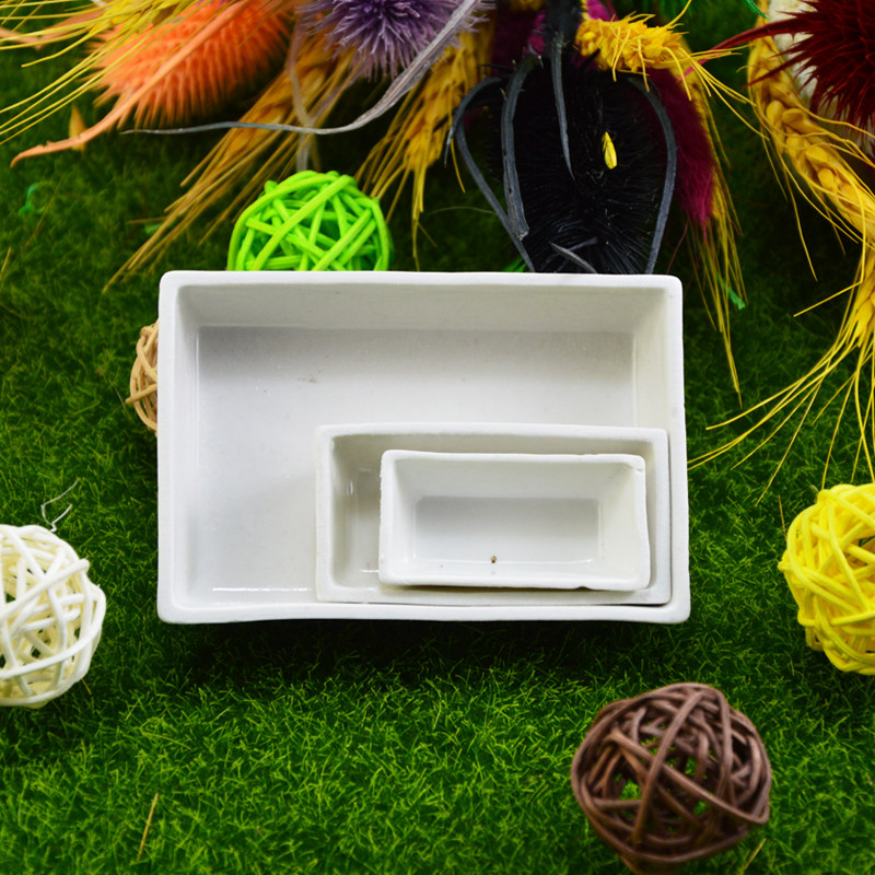 Shiwang Antarium Rectangular Ceramic Pan Ant Feeding Machine Kun Climbing Worm Food Pan Chirpings Water Feeder