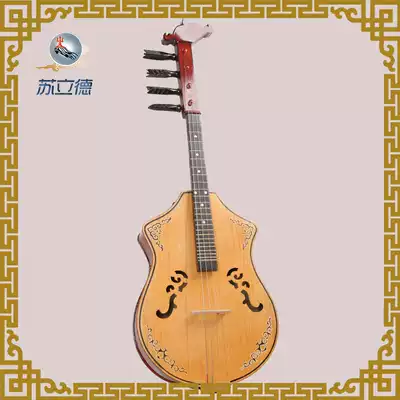 Su Lide national musical instrument mid-range Hu Bian four folk plucked musical instrument hand-carved soft bag