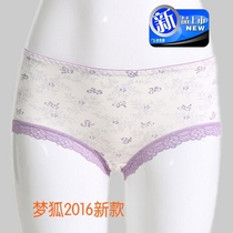 Clearance processing dream Fox bamboo fiber womens briefs lace fashion lace many places