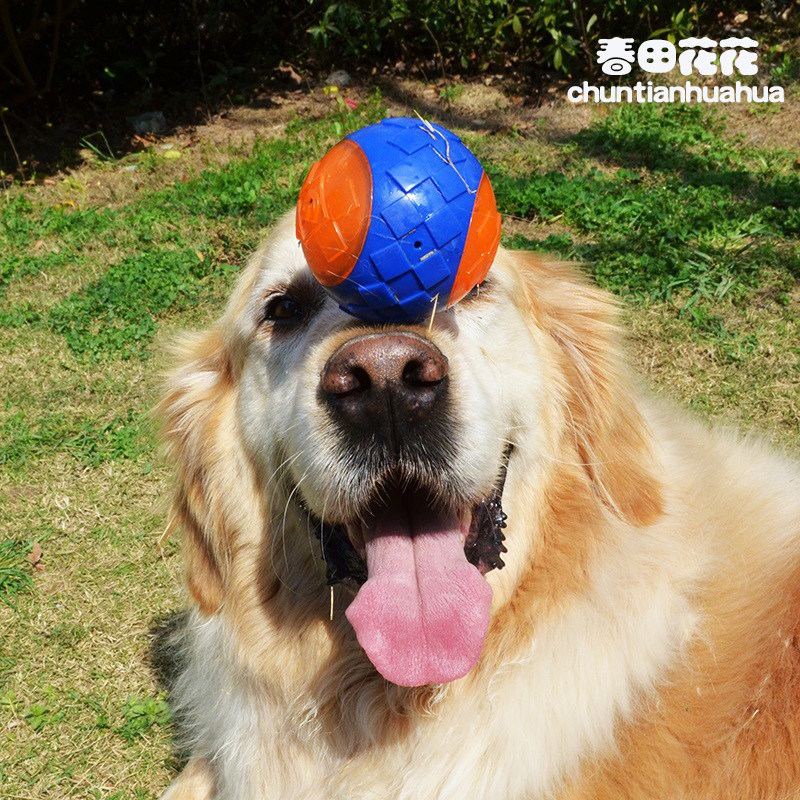 Dog toy ball bite-resistant elastic sounding ball puppy large dog golden retriever pet toy ball molar training