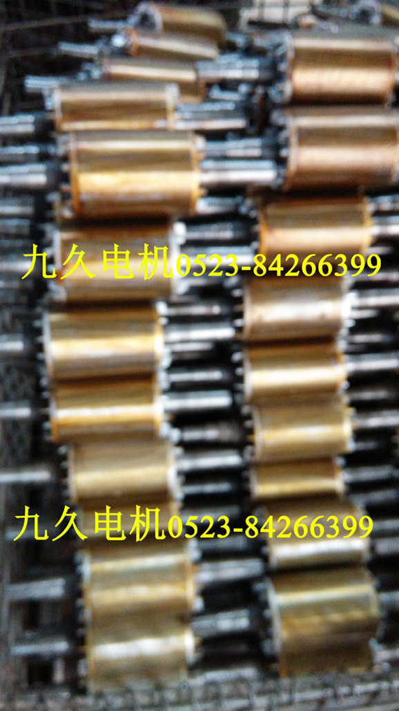 Jingjiang Jiujiu Motor Co, Ltd Single three-phase asynchronous motor cast aluminum rotor