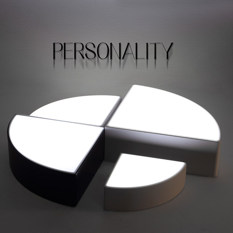 ���ռ�Լ�ִ�led������ZY015