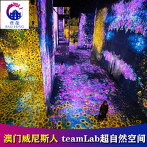 Macau teamLab supernatural space-tuan dui piao (5 more than the book)] quan tian tong tickets (please 18:15 forward Field)