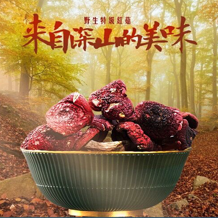 Natural quality Wuyishan red mushroom specialty Fujian specialty red mushroom Yuezi mushroom delicious dry 250g