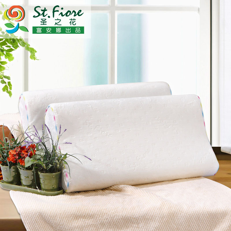 ȼҷʥ֮Ҿӳ843000063