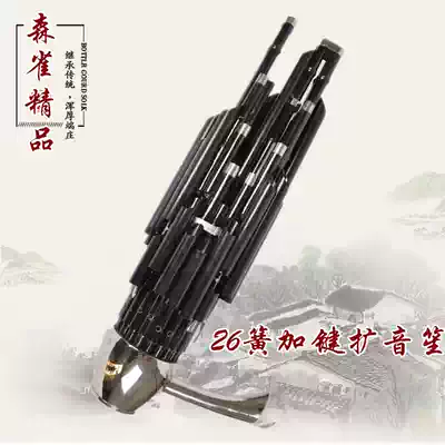 Sheng musical instrument factory direct sale live bucket professional 26 spring plus key professional amplifier Sheng seedling paint tube plating color