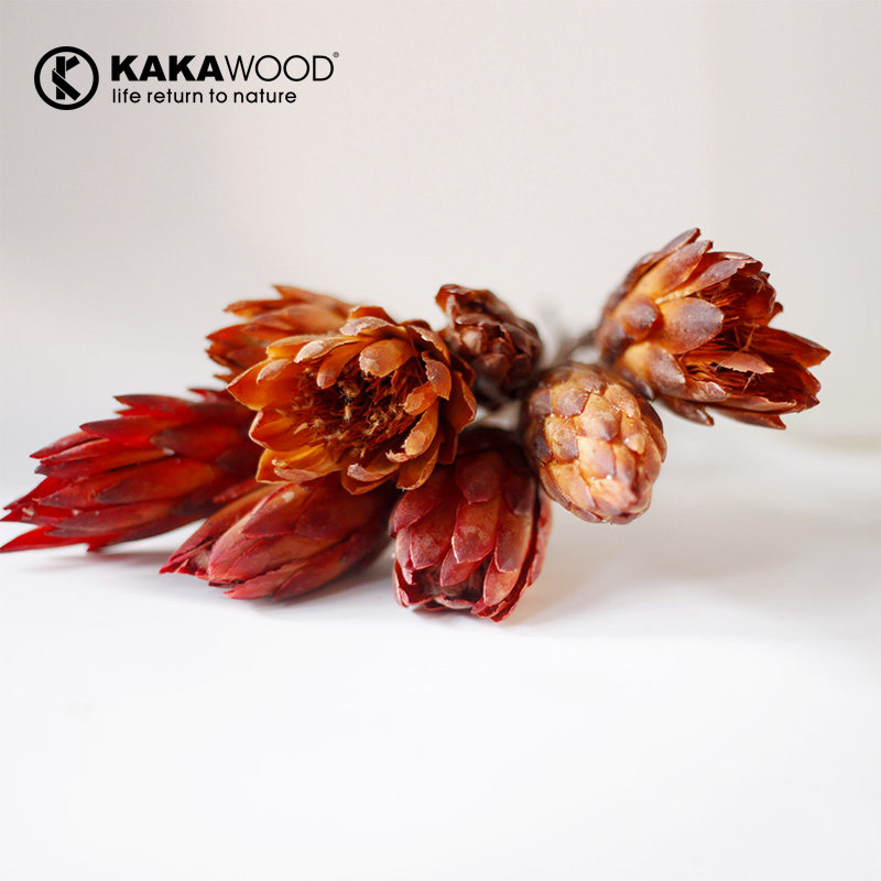 kakawood��ŷ��ʽ�ߵ�ֲ��ɻ�