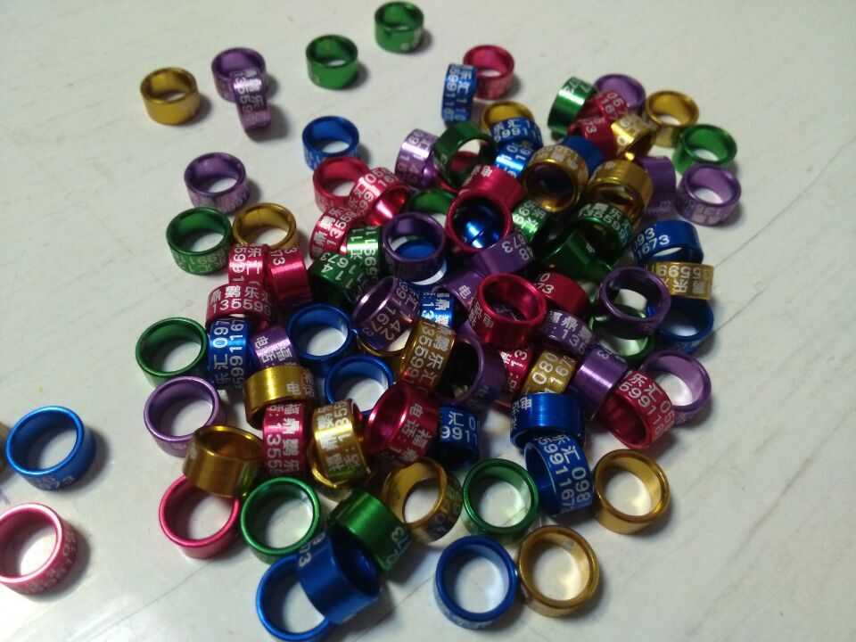 彩鋁鸚鵡腳環足環鳥環大頭小鸚哥 太平洋 藍頭腳環