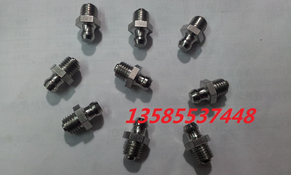 304 stainless steel nozzle Straight nozzle Pressure-injected oil cup JB79401 GB1152 M10*1