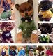 Fashionable checkerboard pet dog clothes cheepet cardigan sweater Teddy Schnauzer Pomeranian French dog Bichon Frize