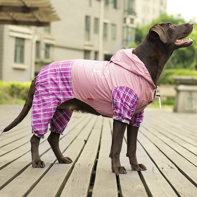 大狗雨衣狗狗衣服中型犬四脚狗雨披金毛萨摩耶宠物大型犬专用春夏
