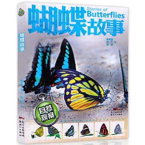 正版蝴蝶故事暑假读一本好书自然观察蝴蝶故事小学生课外阅读物书籍大自然探秘观察彩图版昆虫科普百科全书