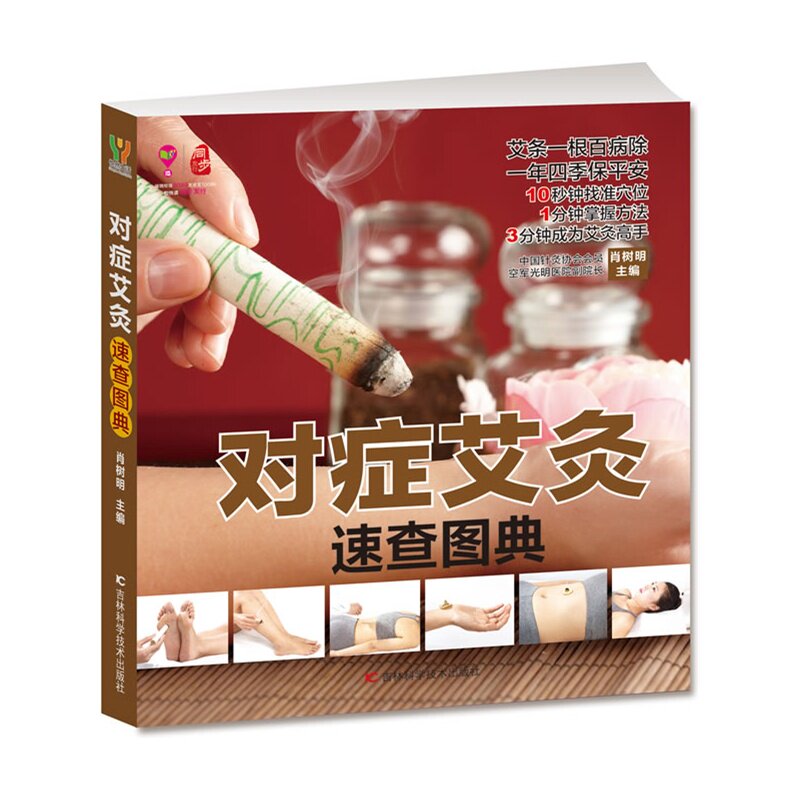 对症艾灸速查图典 正版图书 肖树明