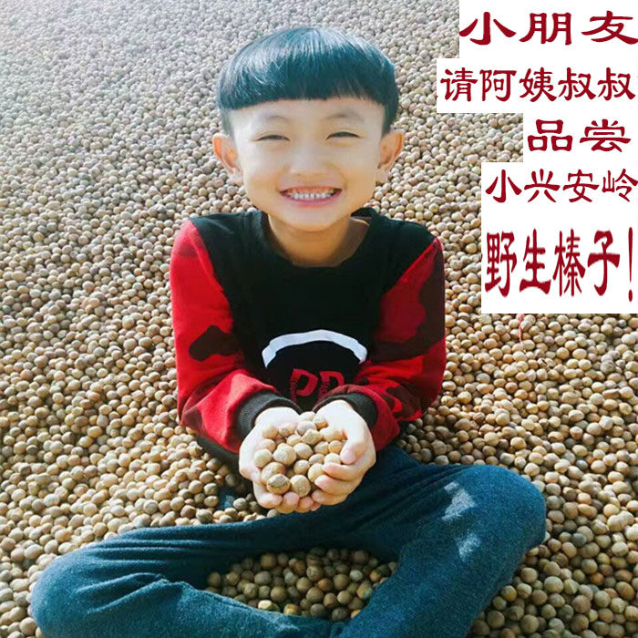Original hazelnuts Northeast Xiaoxinganling specialty wild nuts cooked fire hazelnuts thin skin small water leakage hazelnuts 500g