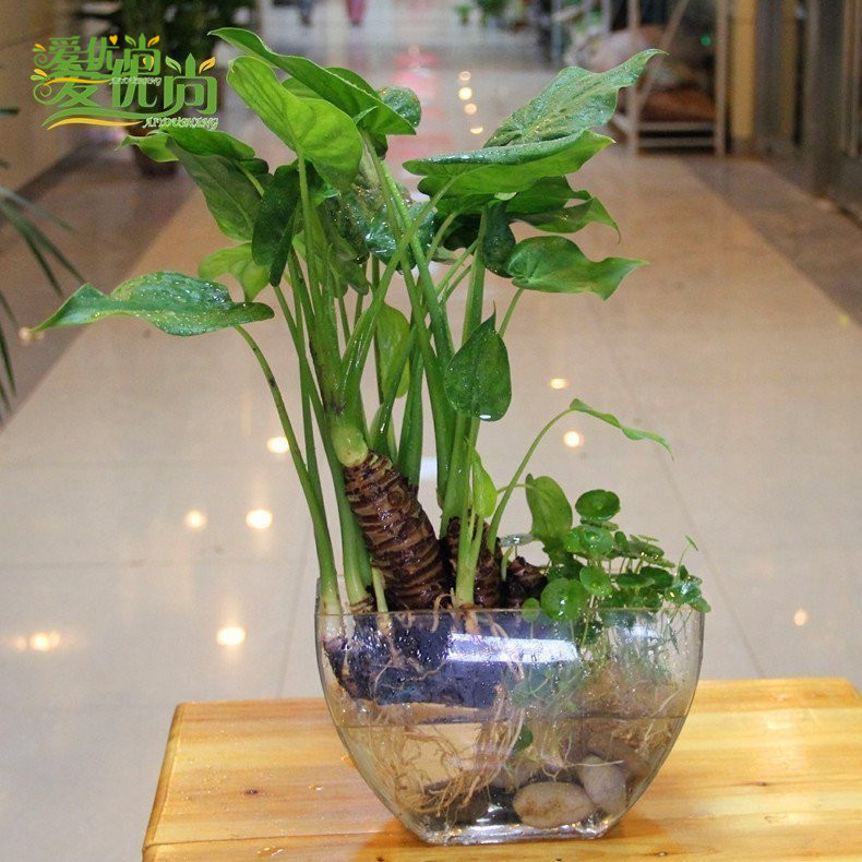 ������ˮ���ˮ��������00041