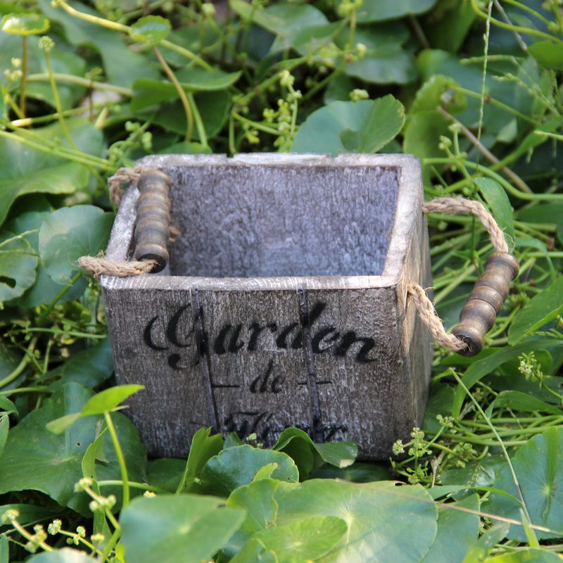 ���ϸ�������ľ�ʻ���ľ��