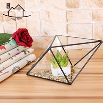 Glass Flower House micro landscape eternal flower succulent plant geometric Vase decoration crafts modern home furnishings