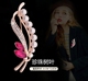 Phụ kiện pha lê của phụ nữ pha lê Hàn Quốc Corsage Big Pin Suit Suit Phụ kiện áo khoác cardigan Shaw Buckle Đơn giản cài áo vest Trâm cài
