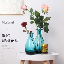 Nordic Modern hydroponic creative crystal glass wine cabinet TV cabinet home decorations gradient Flower Vase ornaments