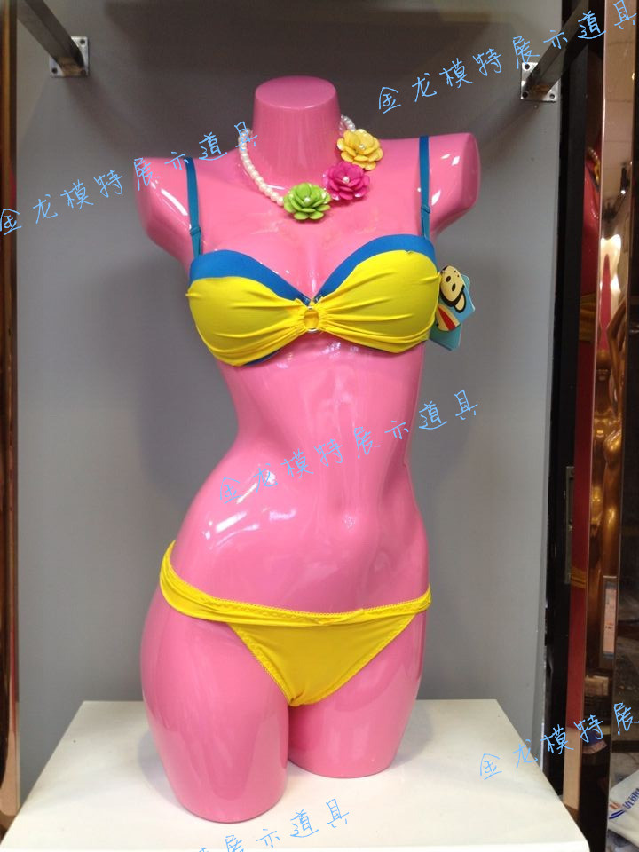 Pink and blue underwear half-length female model props color Eve show underwear bra female half-length model props