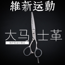 Deying Ying imported professional hairdressing scissors thin bangs haircut hair stylist special hair cutting
