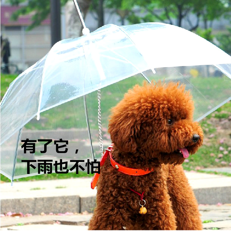 狗狗雨伞宠物雨伞 泰迪比熊小型犬小狗宠物雨衣雨披用品 带狗链子