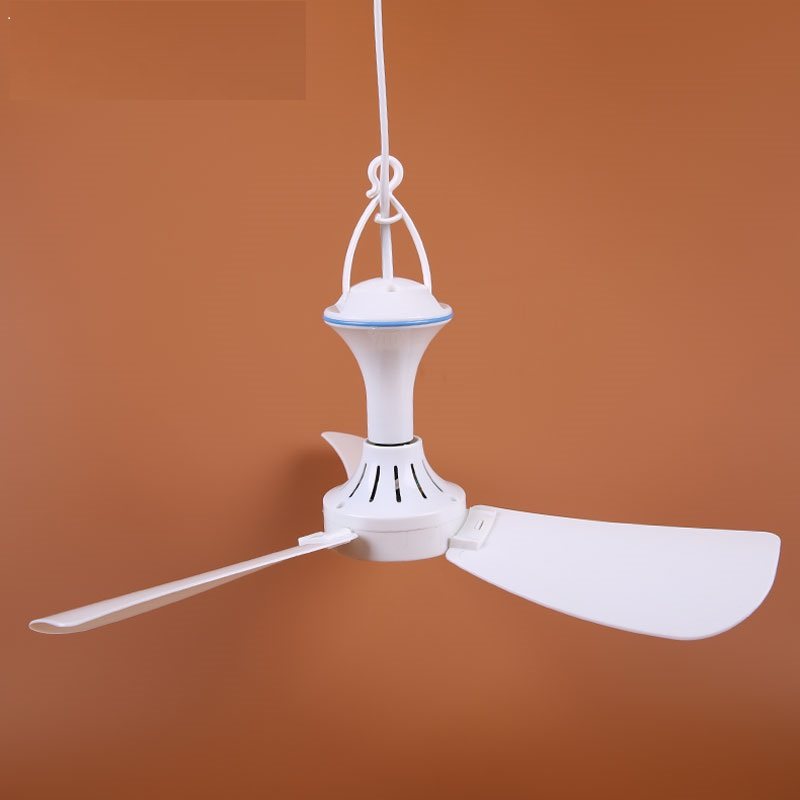 ���߾����ɹŰ����ʷ���