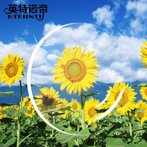 Алмазная кристалл A2 Myopia Lens Lins не -кферическая 1,56 радиационная зеленая пленка Green Plam. 2 таблетки