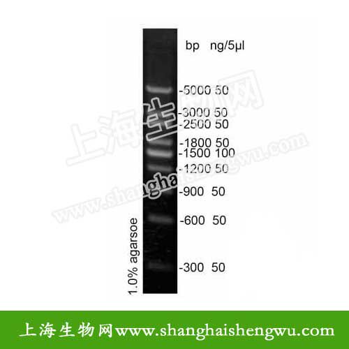DL300  50T 250ul DNA Marker DNA分子量标准 R04025 核酸电泳